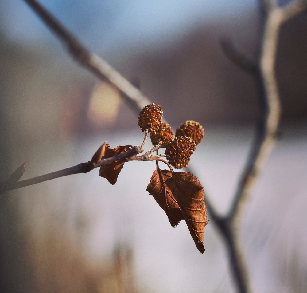Одиночество..осень..