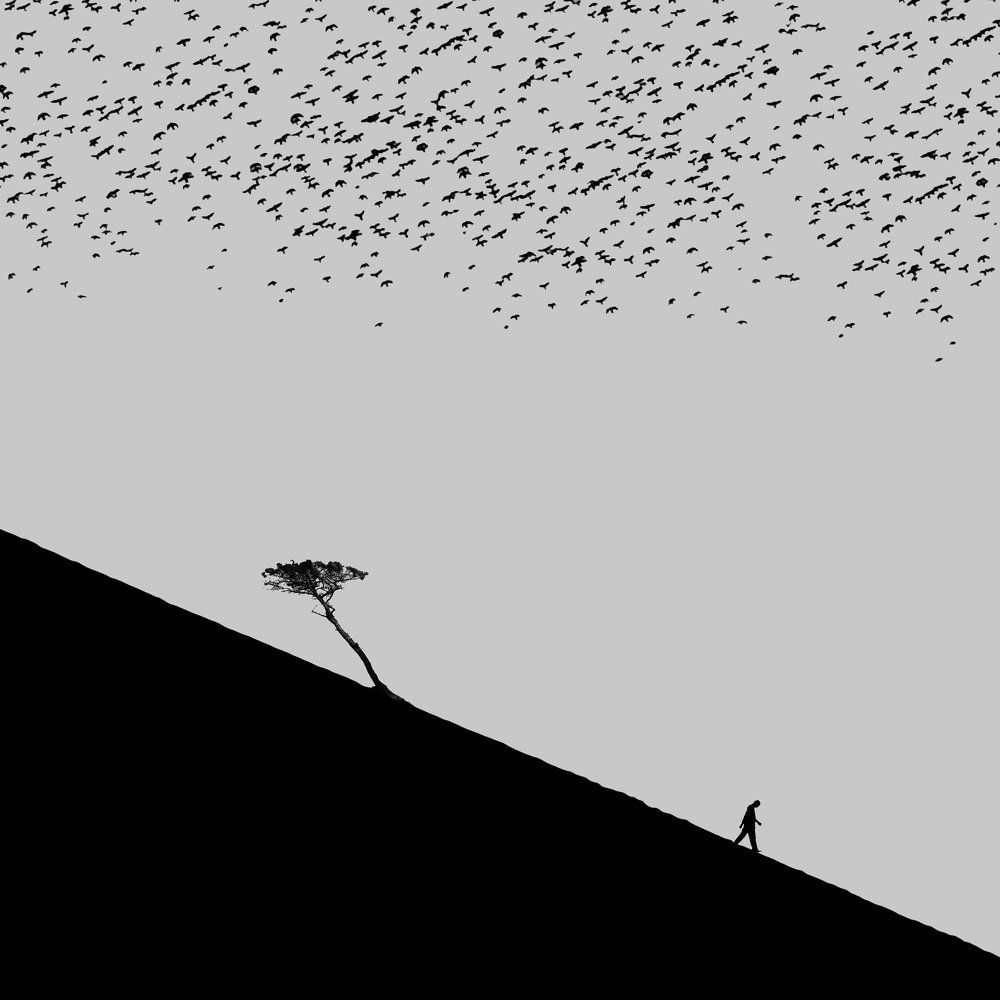 Photograph by Hadi Malijani