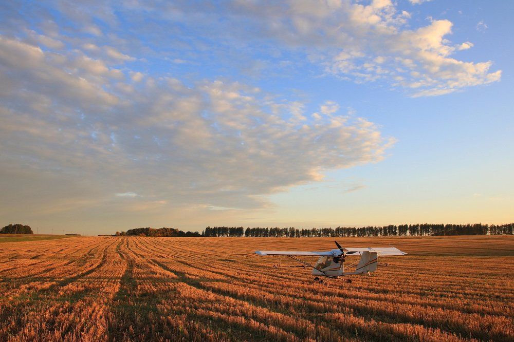 Улетая в небо белой птицей