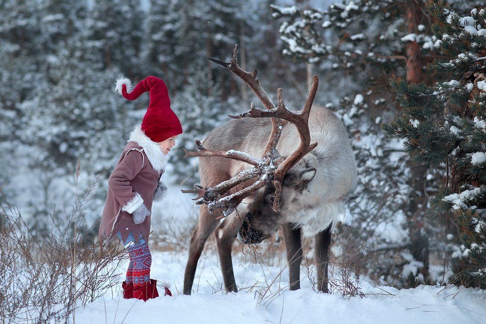 Photograph by Елена Миронова