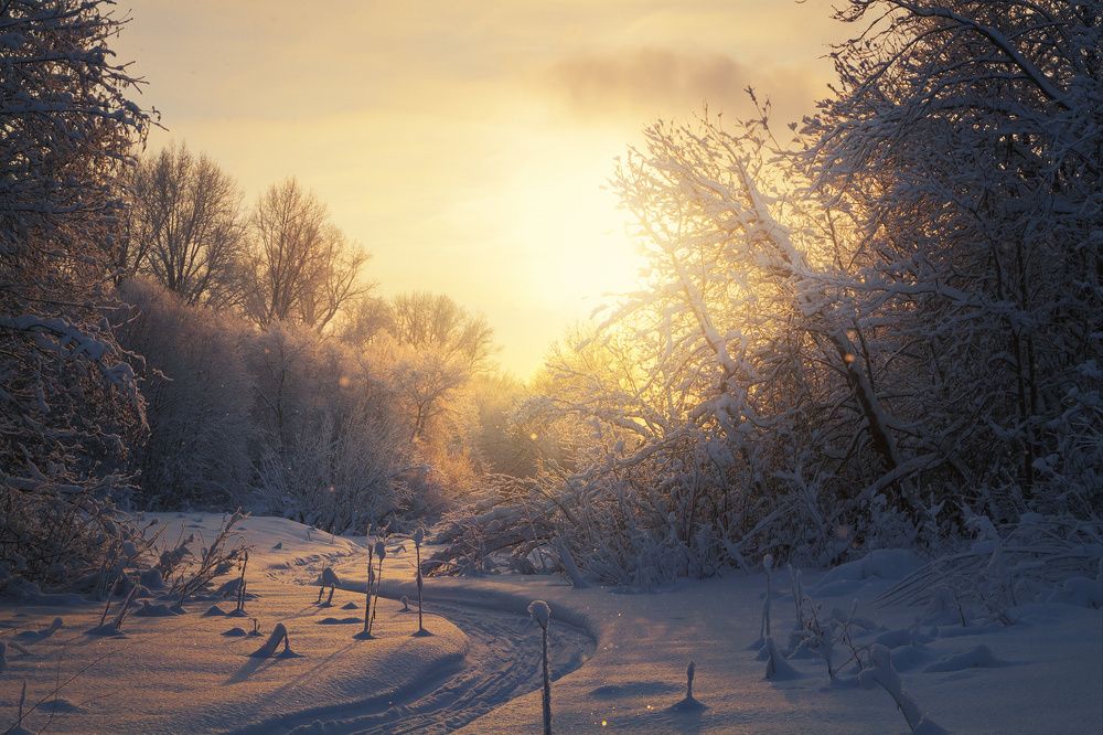 Тихий зимний вечер
