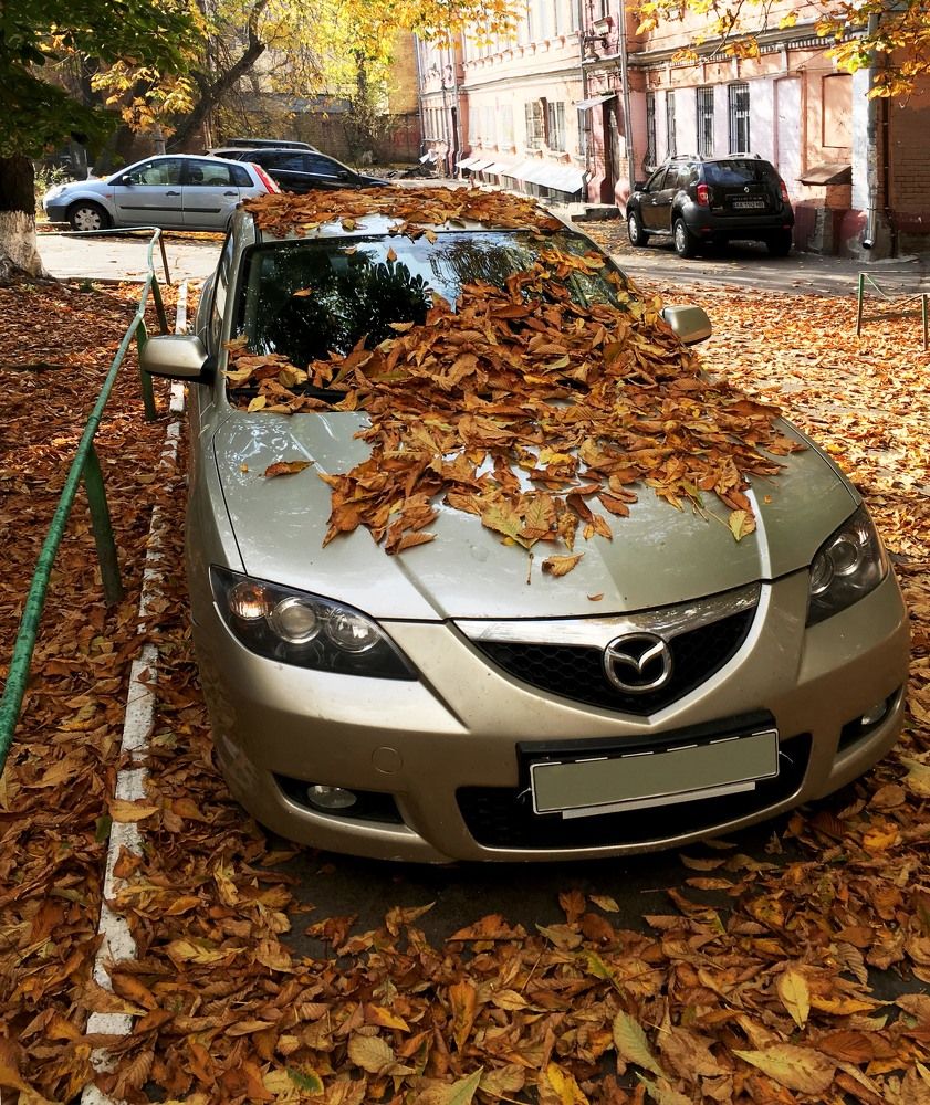 Осенний дворик.