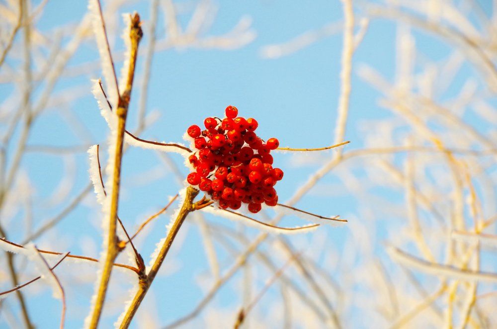 Photograph by Алина Фаттахова