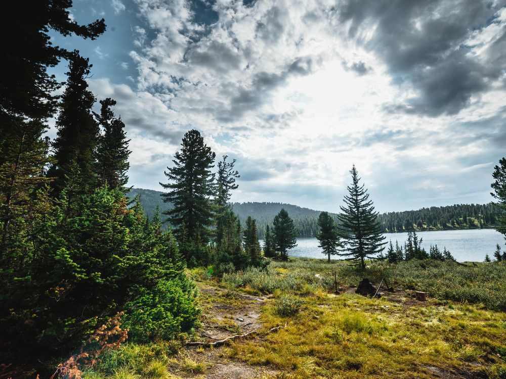 Светлее светлого