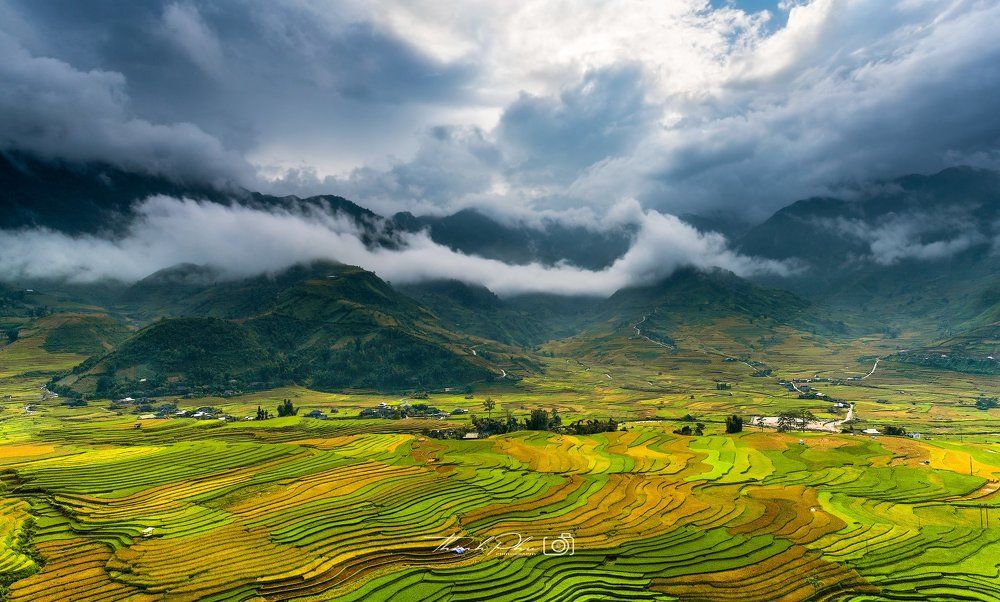 Cold wind is coming.