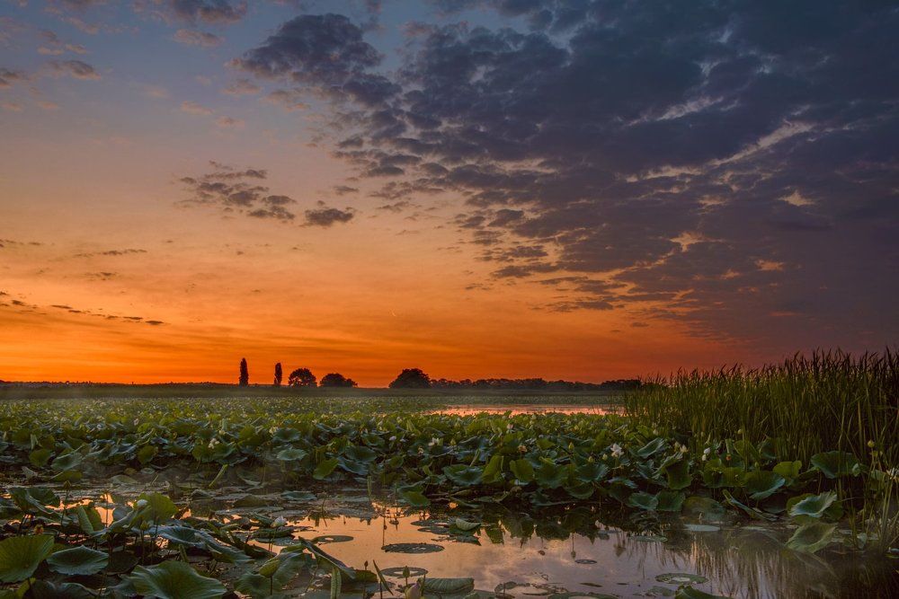 Зарождение нового дня