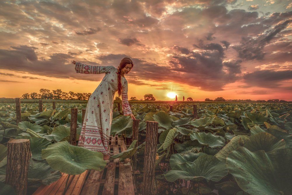 Русь пробуждается