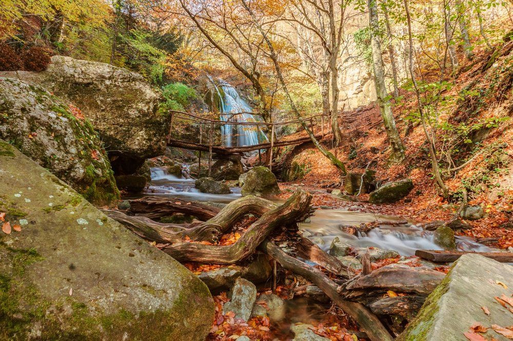 Яркая осень.