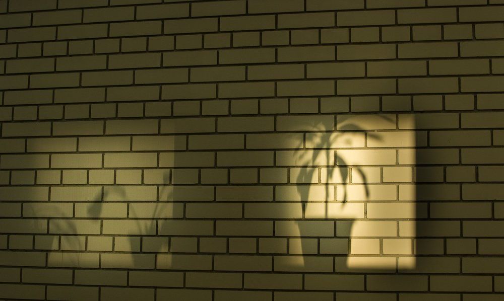 Photograph by Алексей Марков