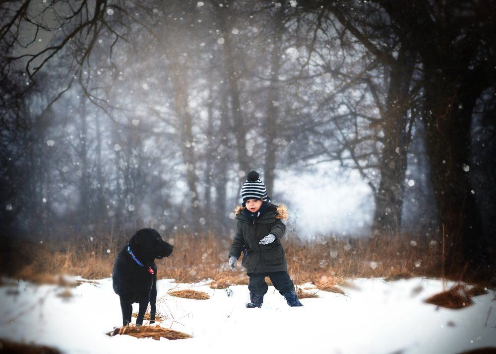 Winter countryside walk