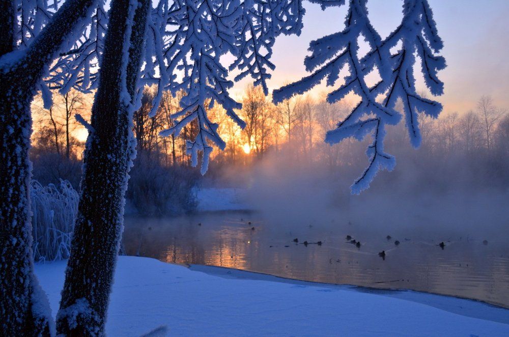 Зимняя сказка