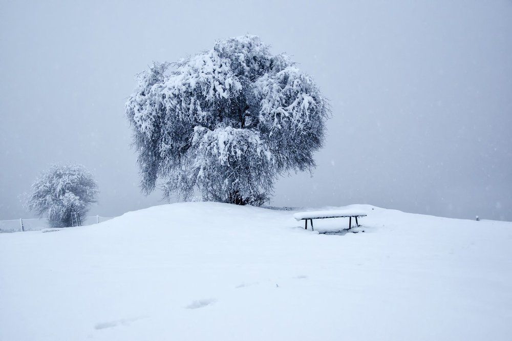 Курган Крака