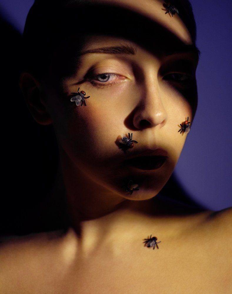 Возвращение мухи