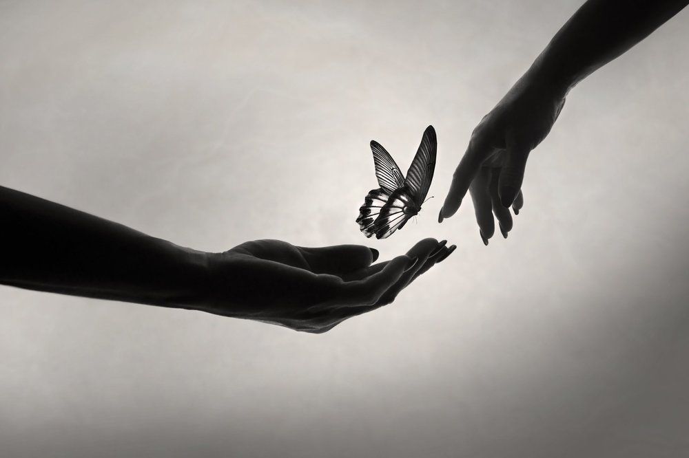 Fine art - silhouette