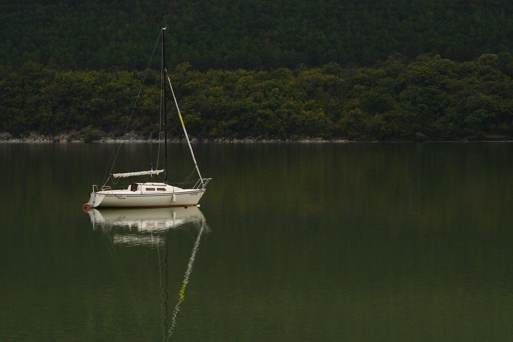 Яхта в лесу