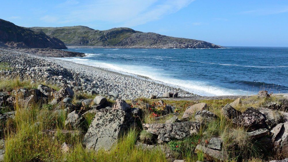 Лето на Баренцевом море