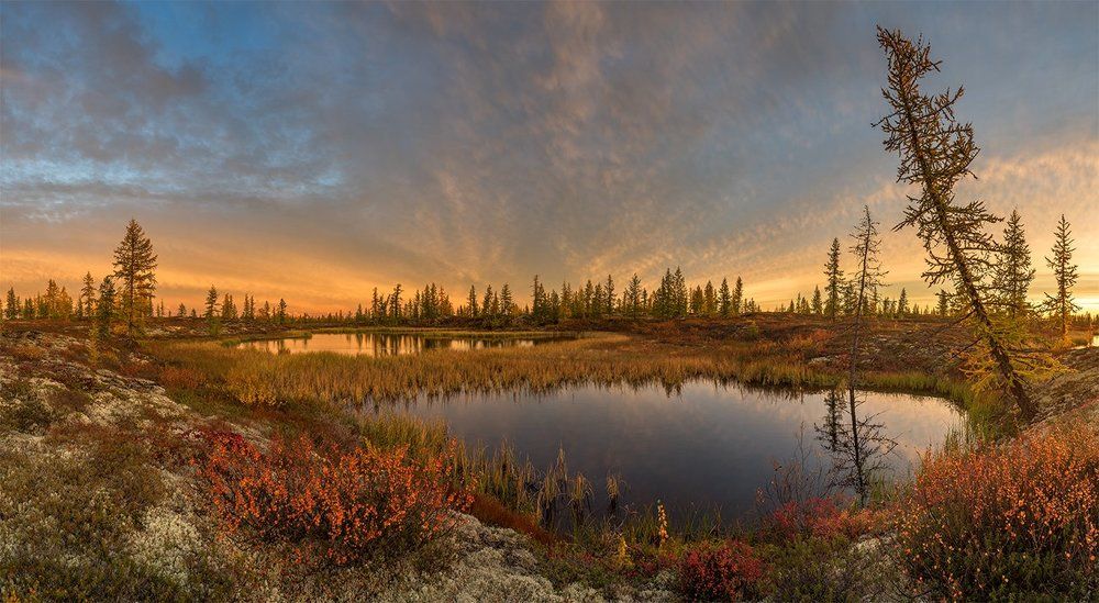 Осенний вечер