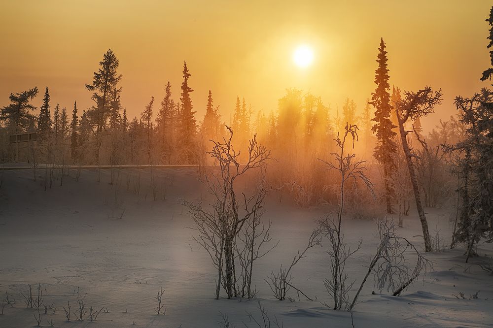 Морозный вечер