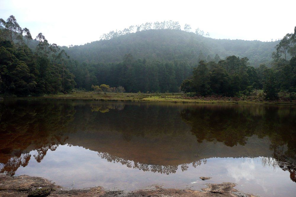 Nature's mirror