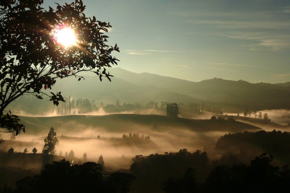 Sunrise