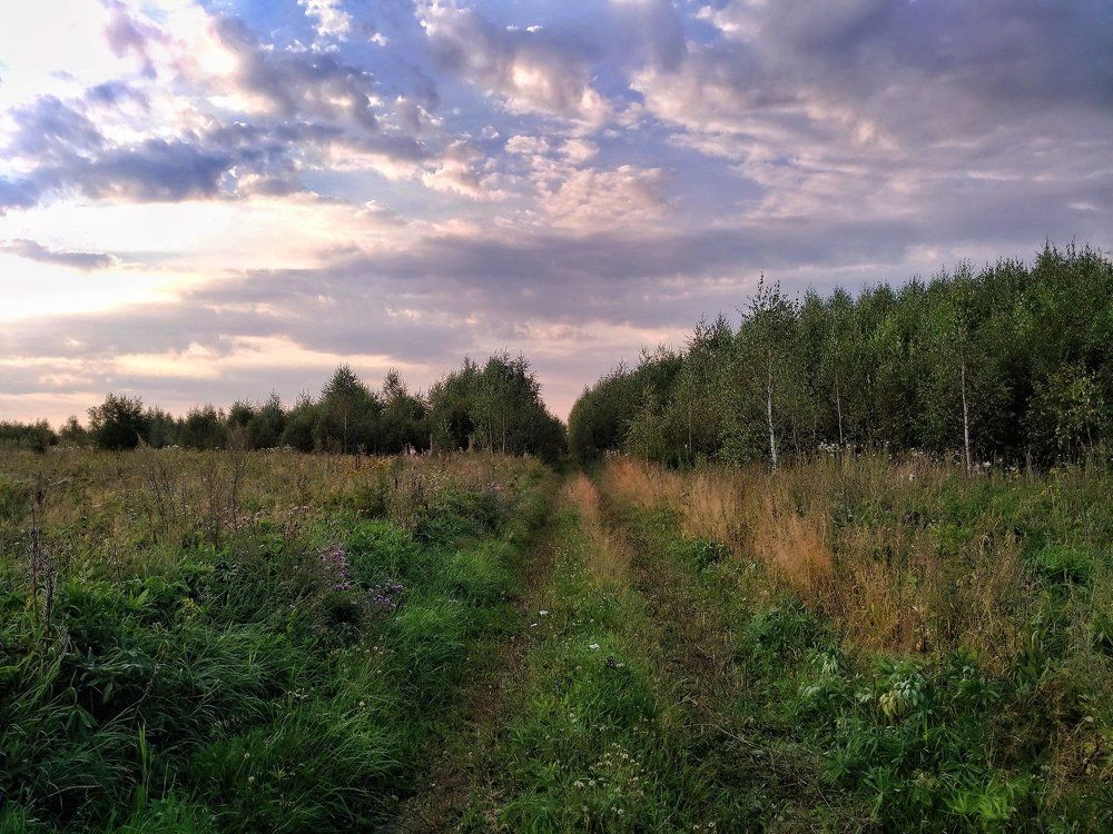 Деревенские просторы