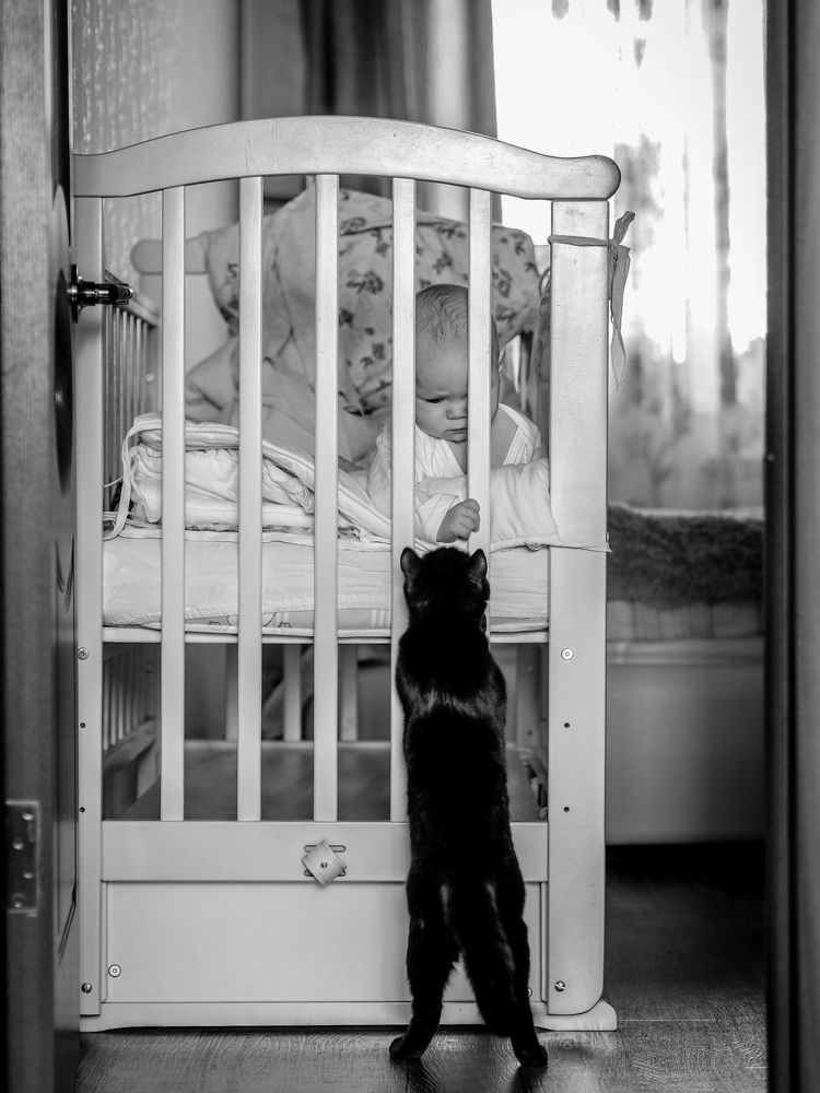 Друзья-товарищи