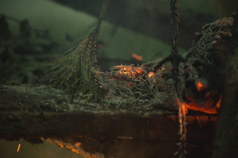 Photograph by Яна Кобелева