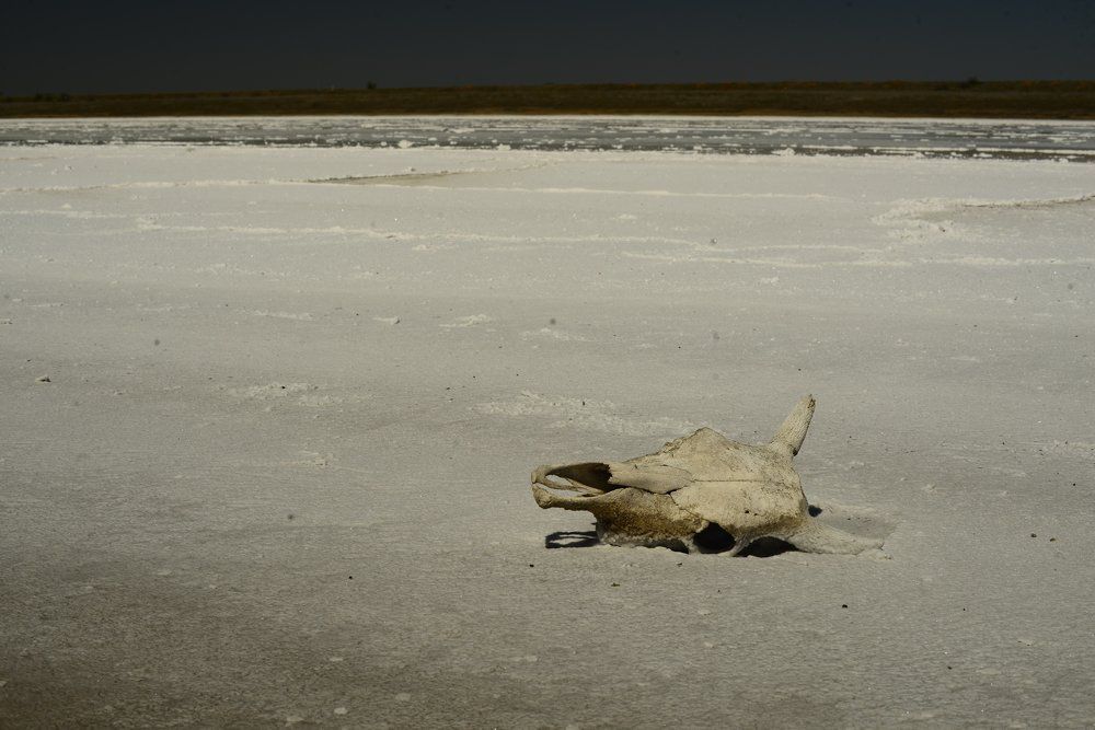 Под полящим солнцем