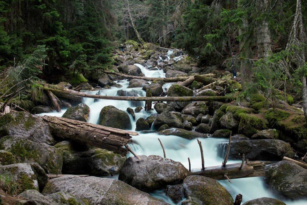 В близи Домбая