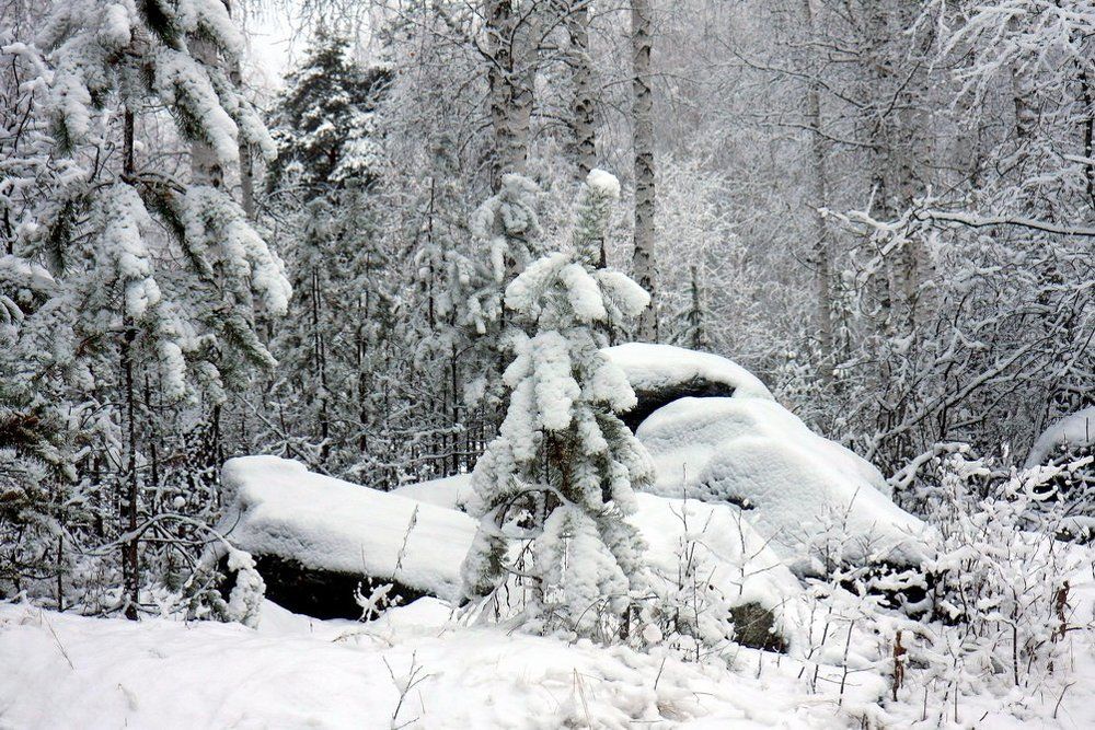 Зимняя сказка