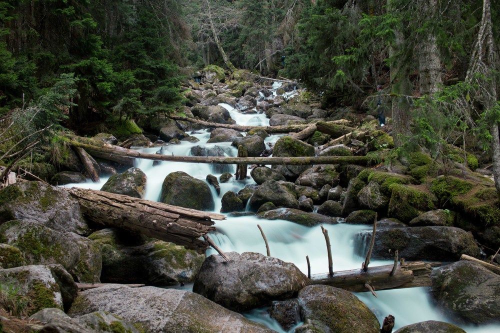 Photograph by Аверин Максим