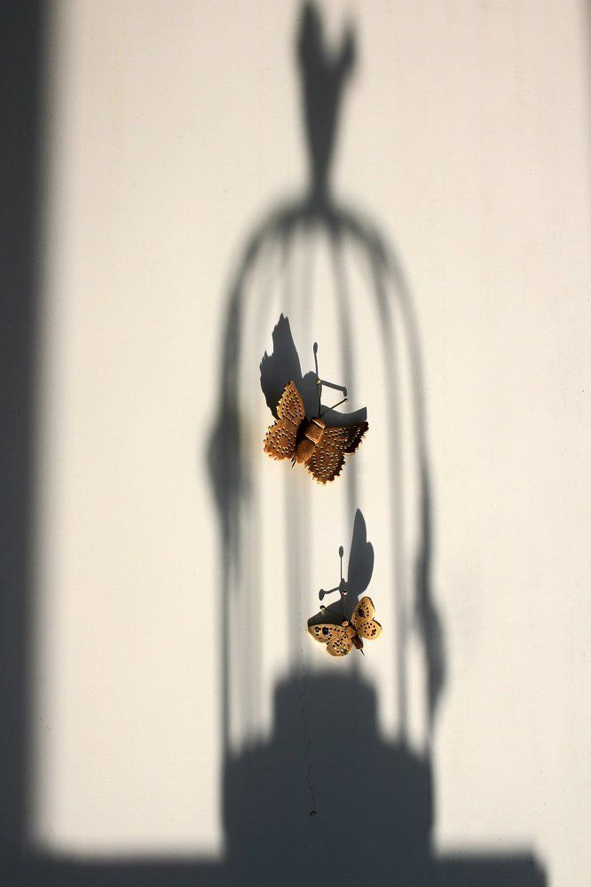 Photograph by Katarina