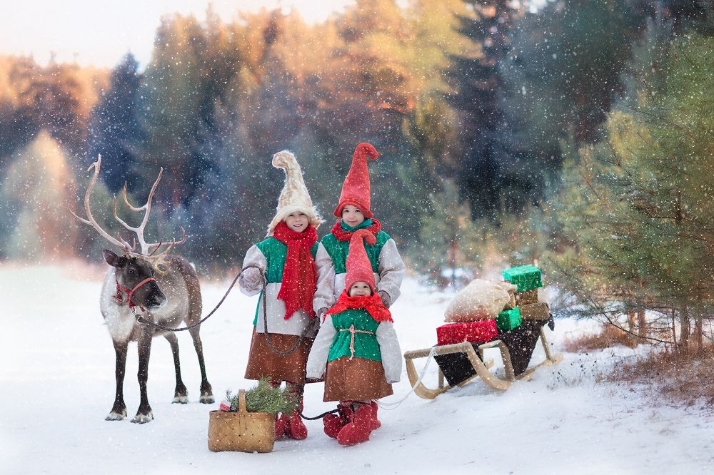 Помощники Деда Мороза