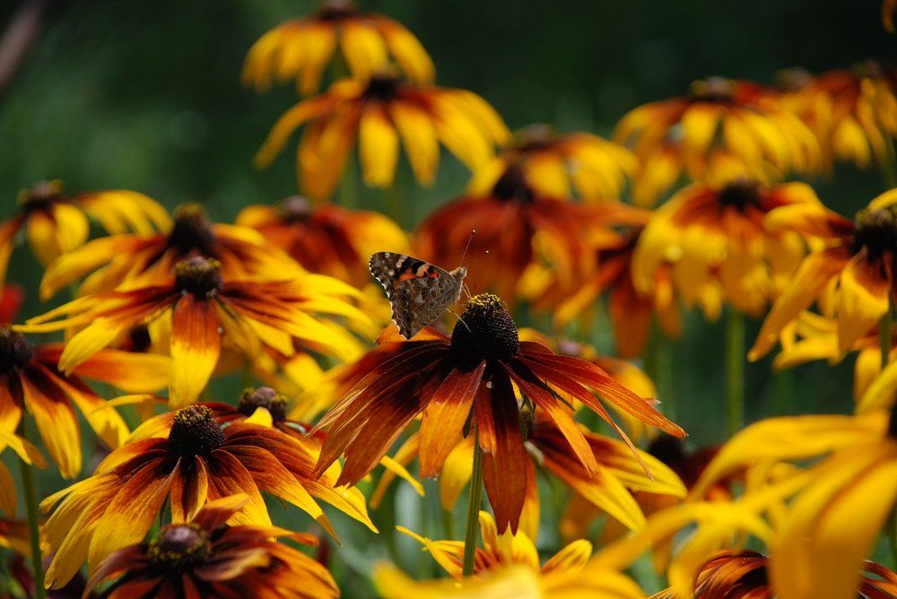 Photograph by Игорь Кляхин