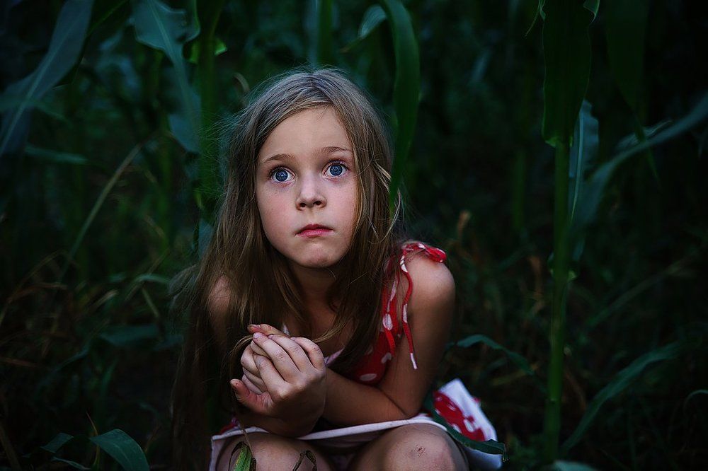 Дети кукурузы