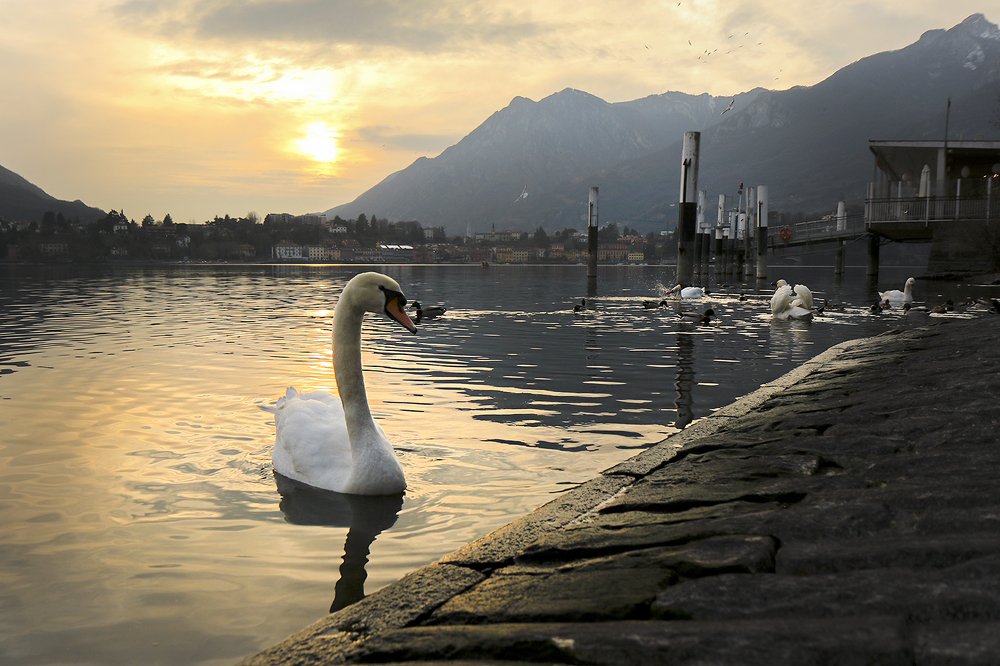 Закат на озере Комо