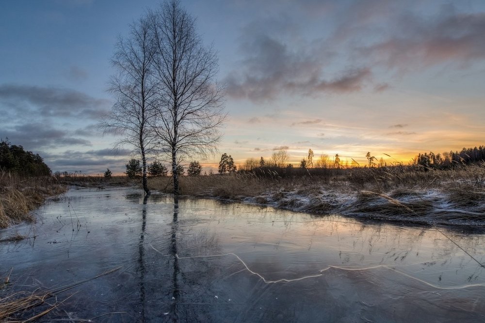 Декабрь бесснежный