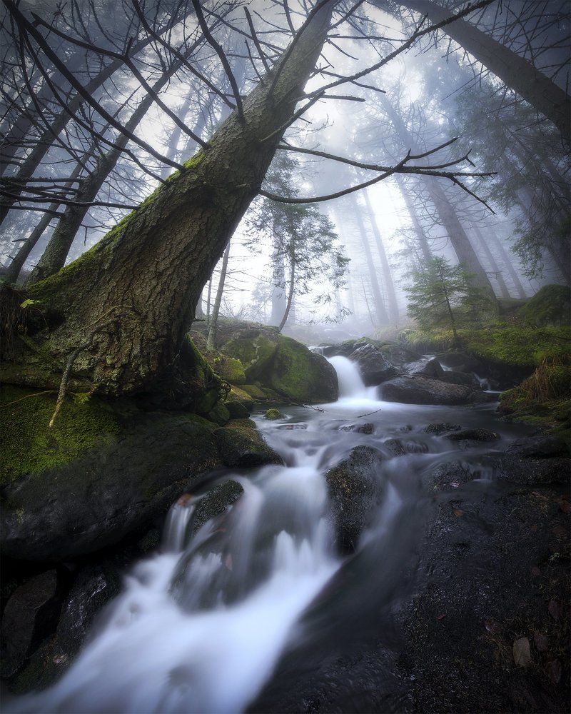 Bistrishka river in the autumn fog