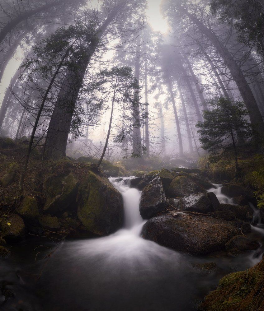 Bistrishka river in the autumn fog