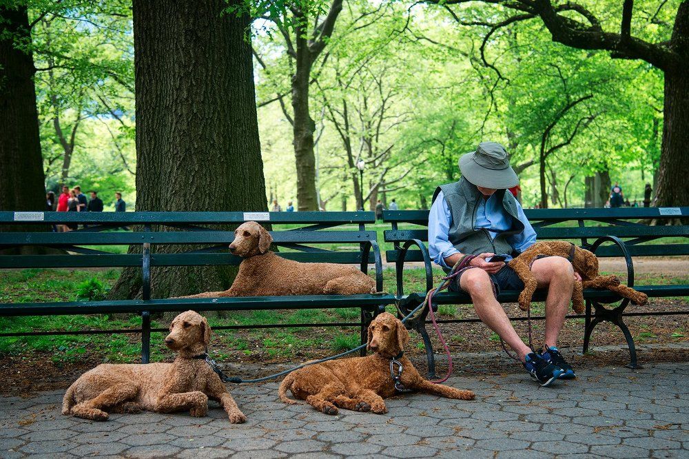 Photograph by Юлия Борт