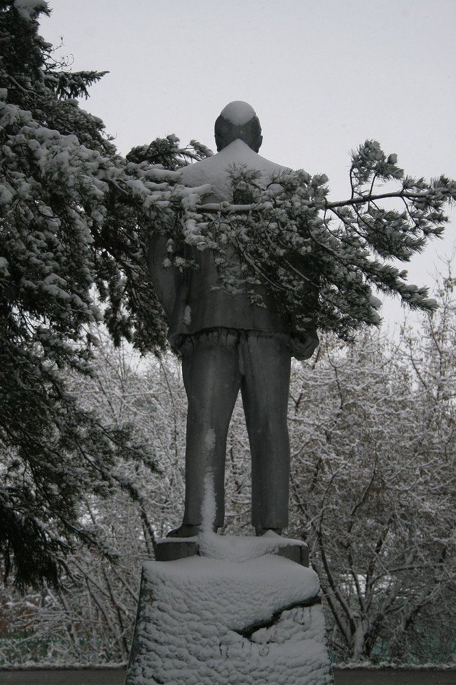 Без названия