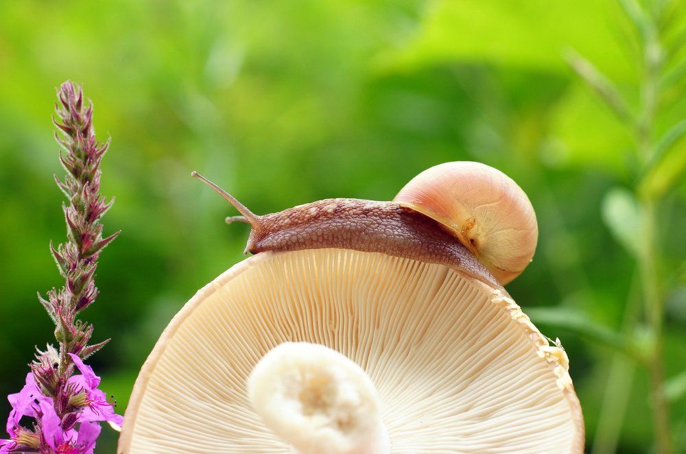 Начало дня...