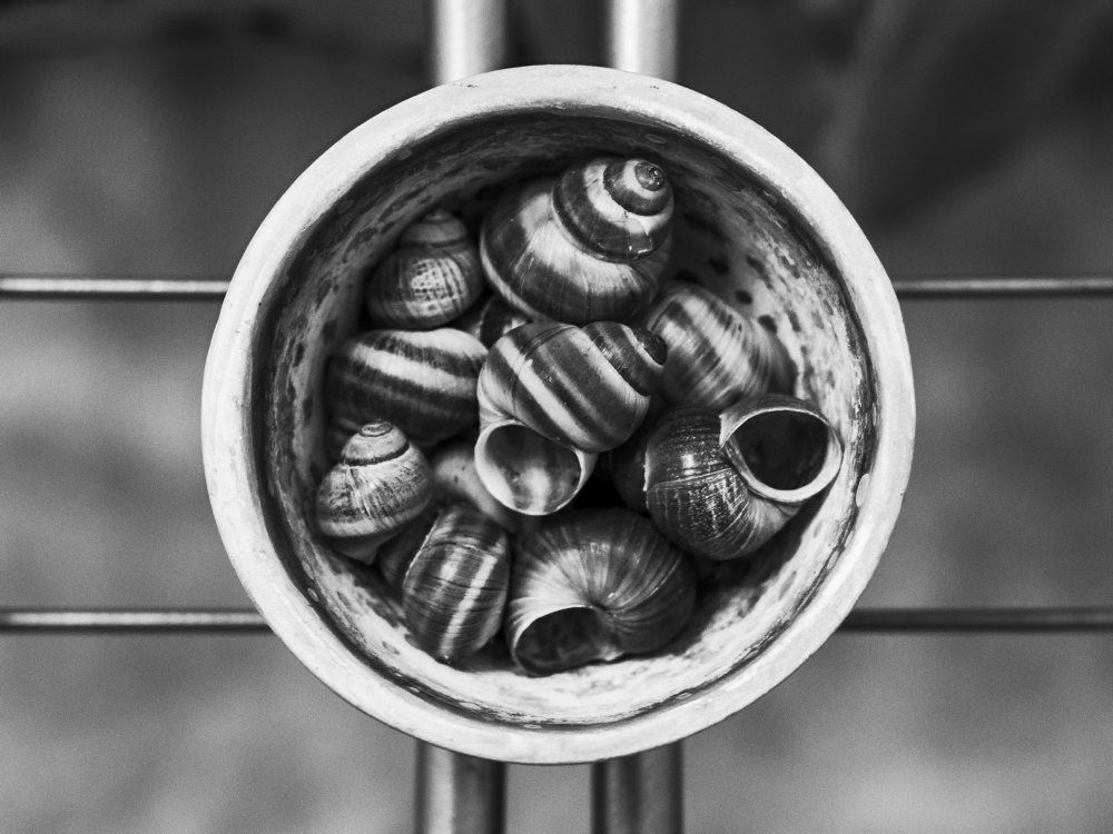 Фотография автора Алексей Школдин