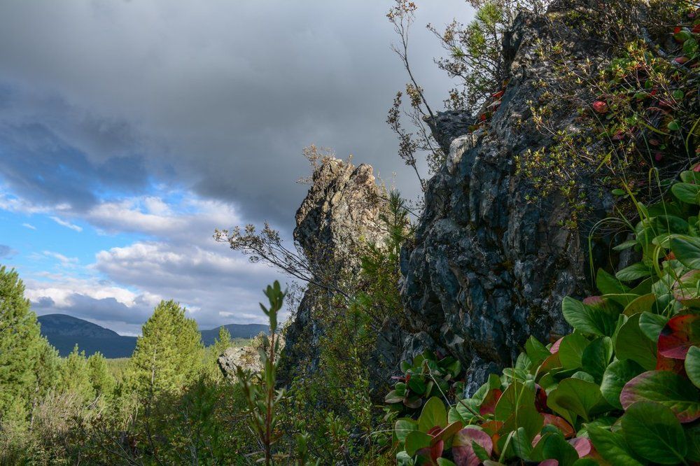 Photograph by Щербакова Галина