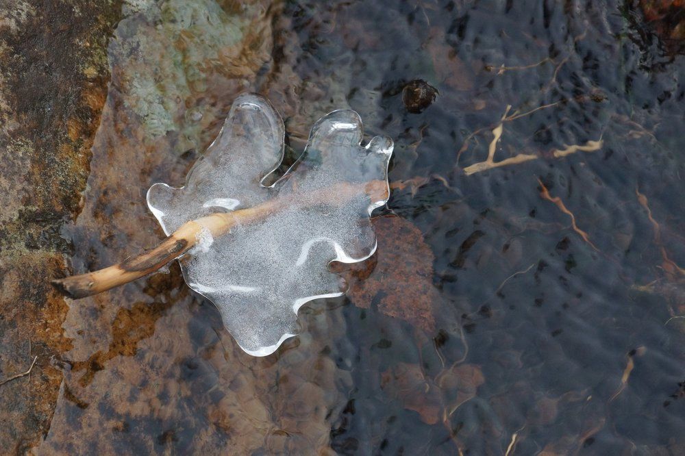 Ледяной лист