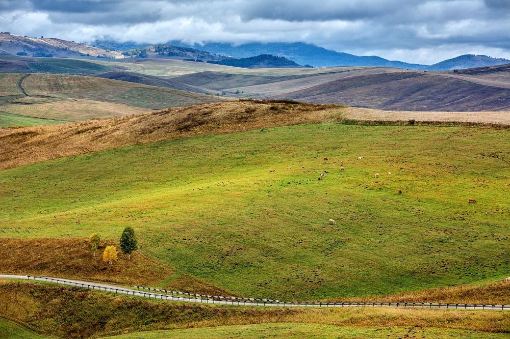 Просторы Алтая!