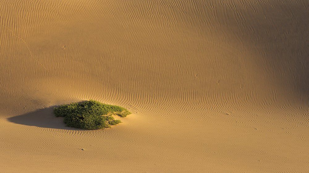Deadvlei Намибия