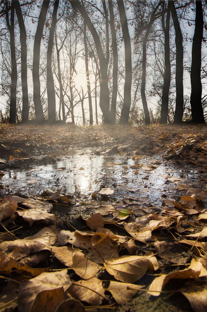 Осенние ритмы!