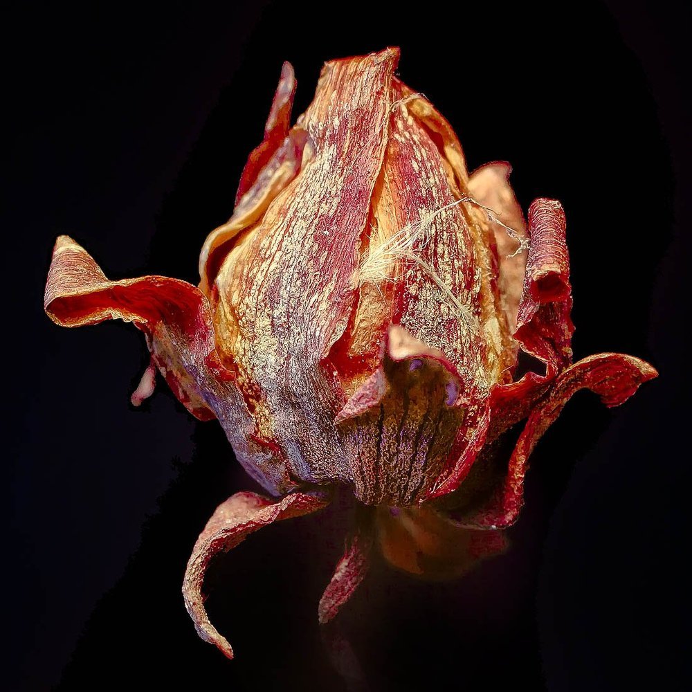 Сухой огонь