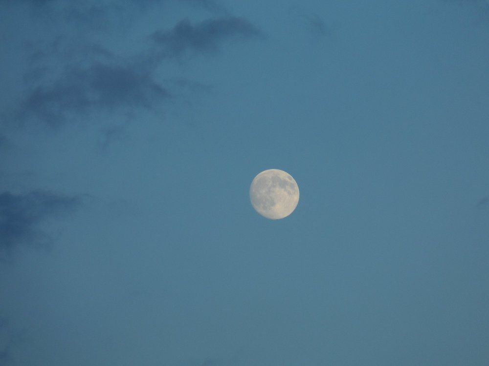 Единственная